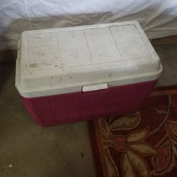 Coleman Cooler