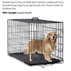 Brand New dog create 