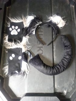 Cat Accessories 
