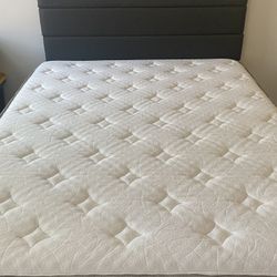 Bed Frame + Mattress + Headboard