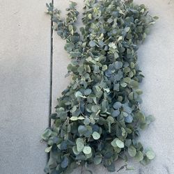6 feet Eucalyptus Garlands