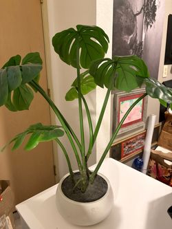 Artificial Monstera Plant in White Pot