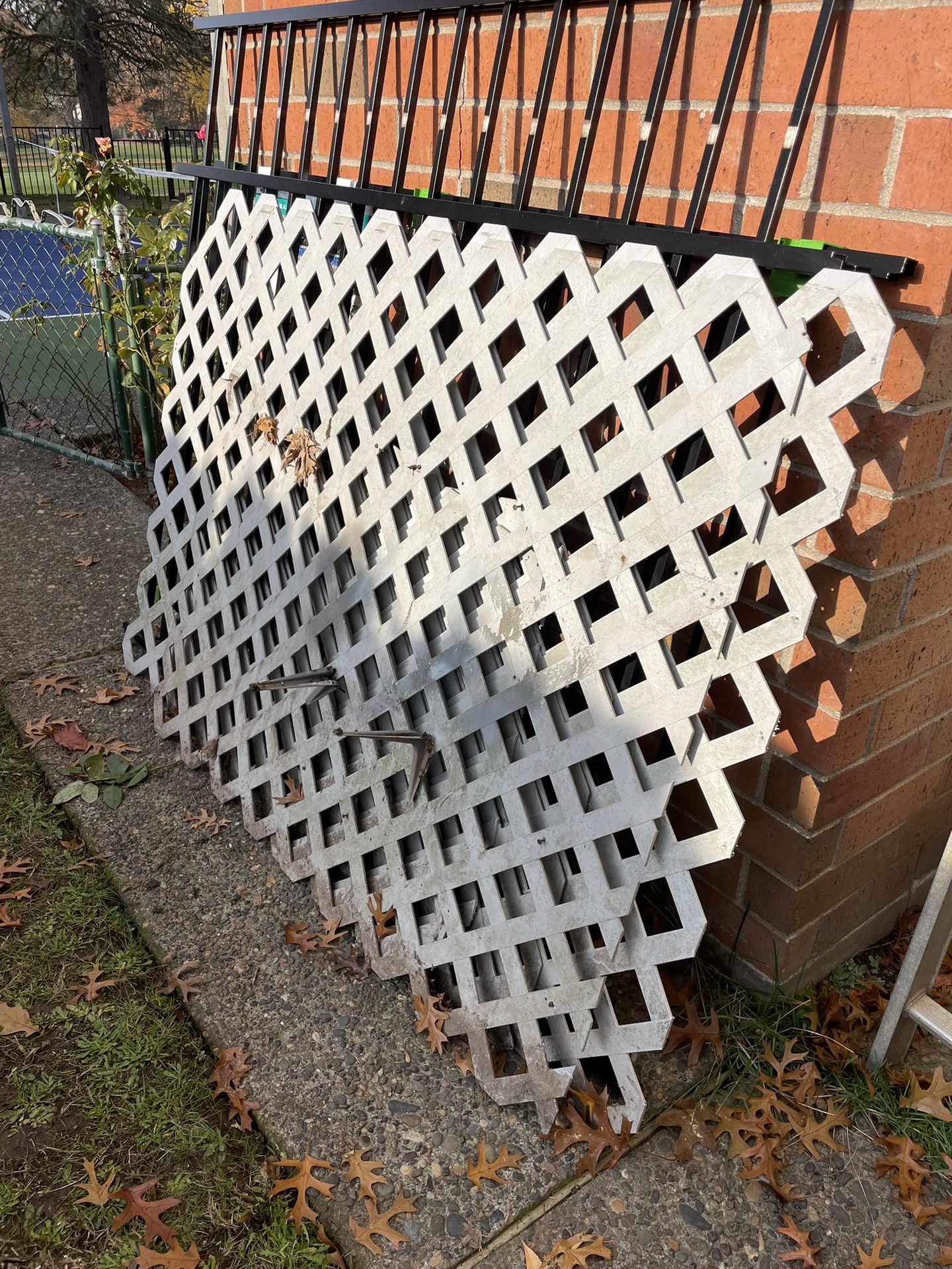 Fence & Wood