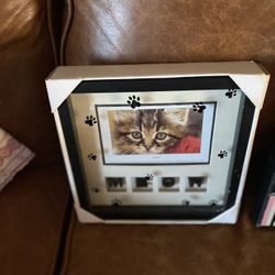 4x6 Cat Frame 