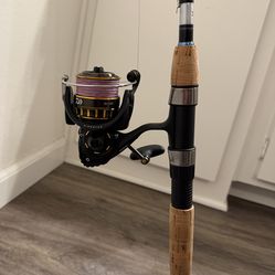 NEW | Daiwa Aird Coastal 7ft | Daiwa BG2500 | 30LB Braid | 15LB Leader | Ready to Fish!