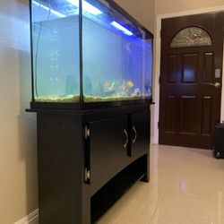fish tank, Fish fish tank base, filters, lamps, heating rods, oxygen rods, automatic fish feeders, fish food and so on. Fish tan