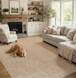 Collive 6' x 9' Braided Area Rug
