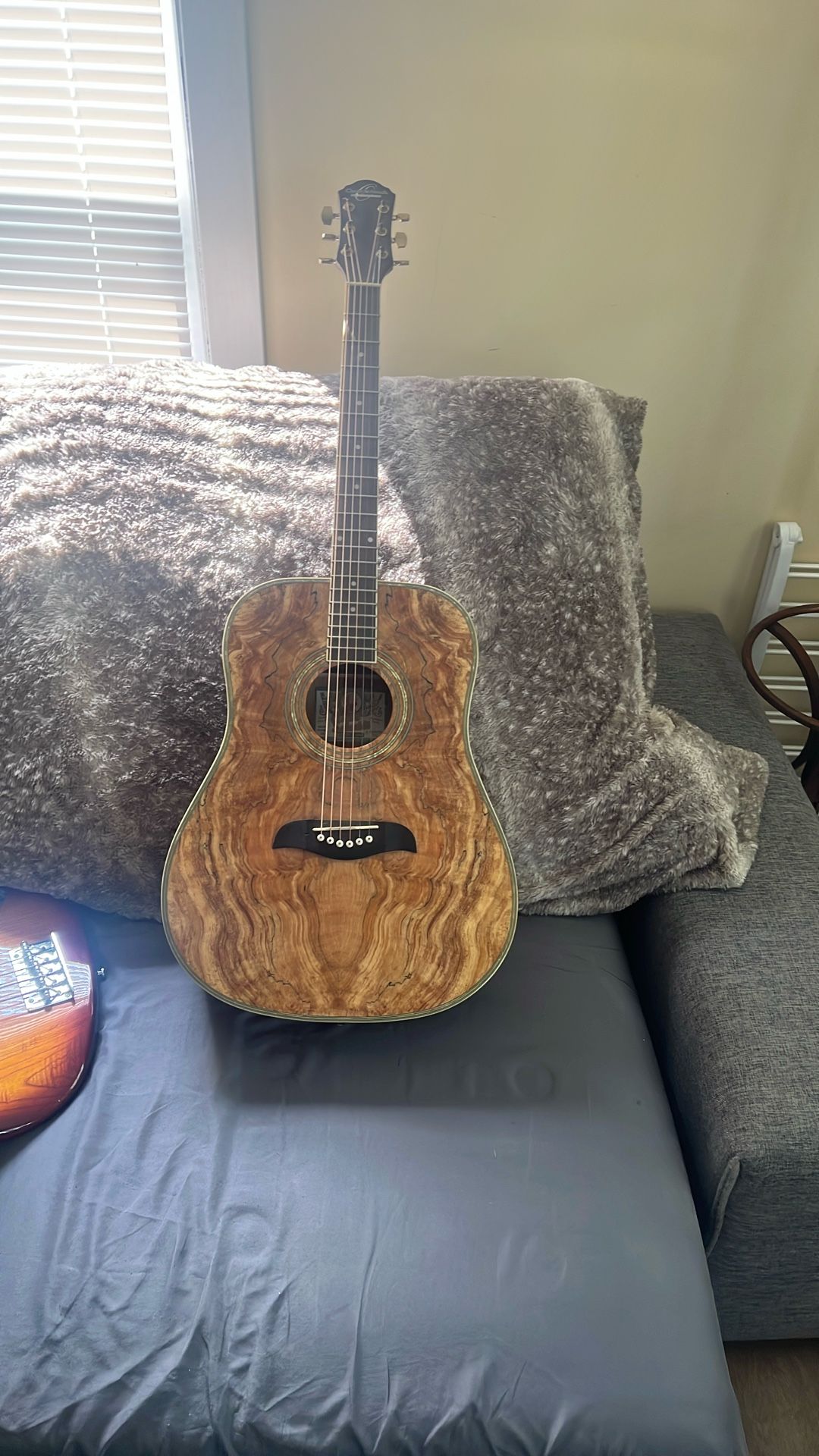 Oscar Schmidt Acoustic By Washburn