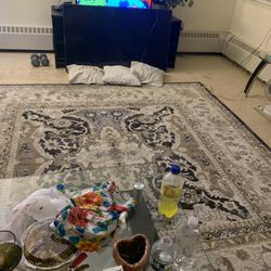 Brand new Living Room Rug $150