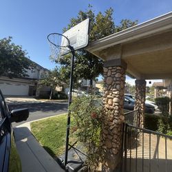 Basketball Hoop
