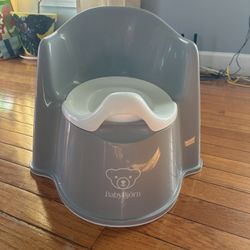 Baby Bjorn Potty Chair