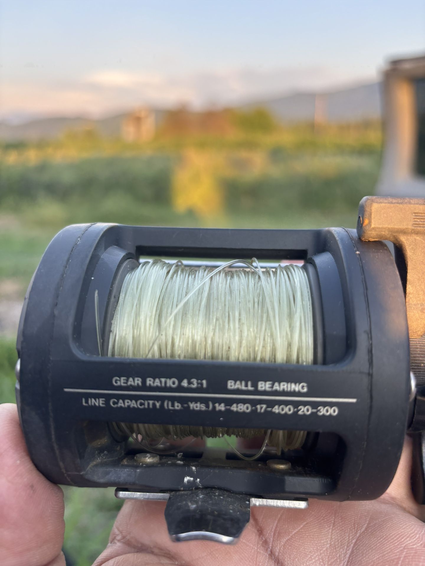 Fishing Reels