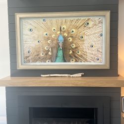 Samsung The Frame 65” W Custom Champagne Gold Frame