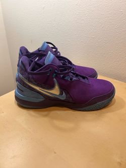 Purple LeBron’s Men Size 9