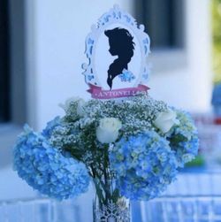 FROZEN PARTY CUSTOM DECOR