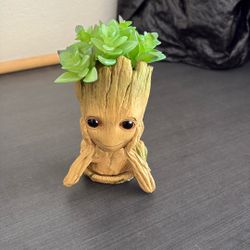 Groot