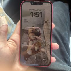 iPhone 13 For Sale Best offer Takes 