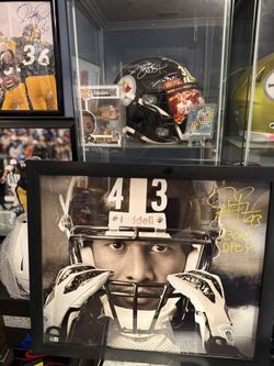 Troy Polamalu 20x24