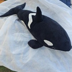 Killer whale
