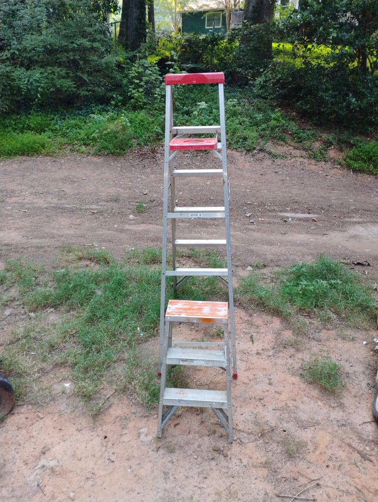 Werner Ladder And Stepladder