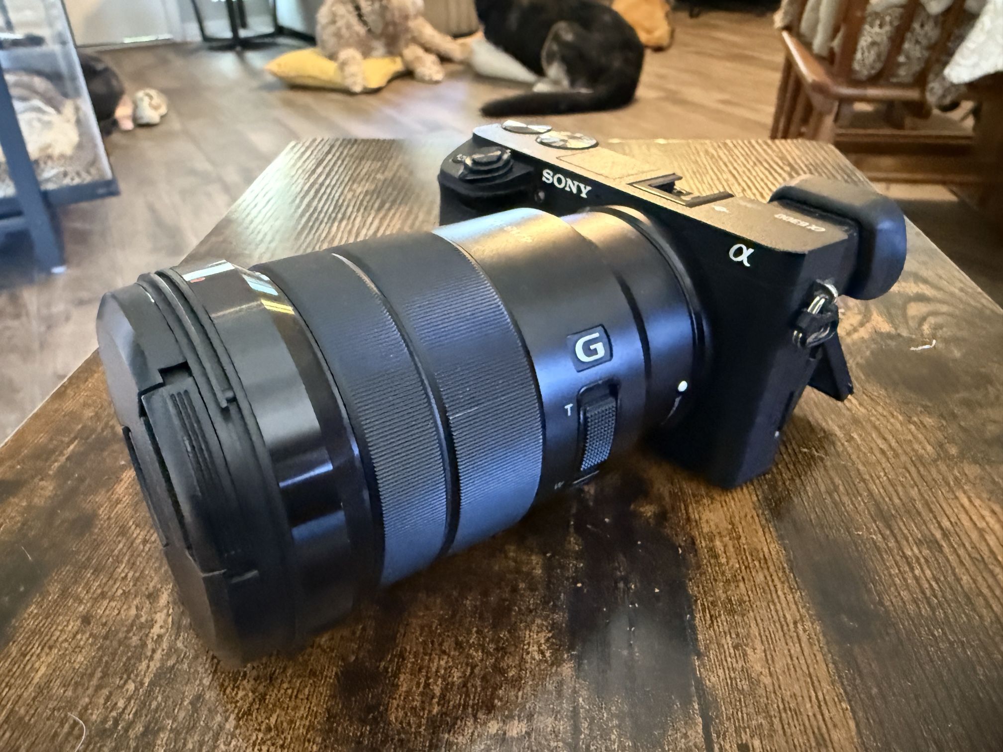 Sony a6300 w/ Sony G Master 18-105mm Lens