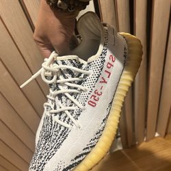 Yeezy 350 Zebra Size 12