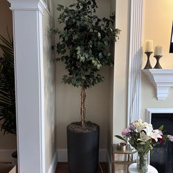 CB2 Planter With faux Trees X2