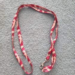Like New USC Dog Leash