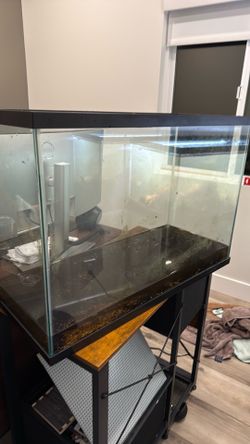 29 gallon tank