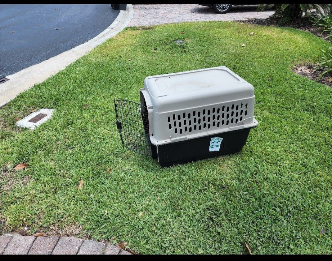 Dog Kennel
