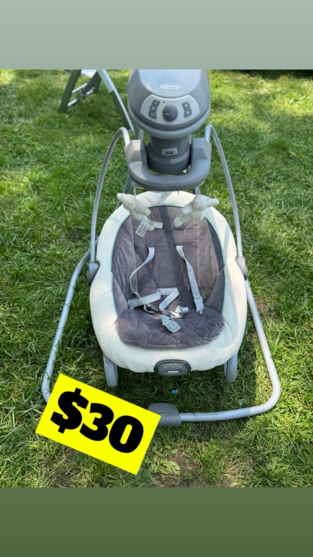 Graco Swing