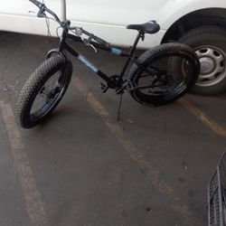 Bike. Fat Tire