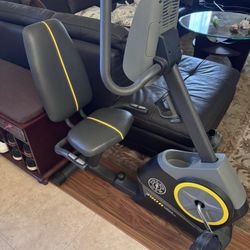 Gold’s Gym Exercise Stationary Bike
