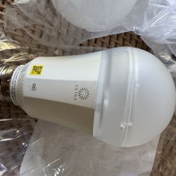 Lutron Ketra Bulbs