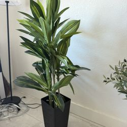Artificial Dracaena Tree 