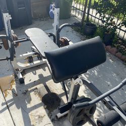 Multi-Angle Bench + Weights