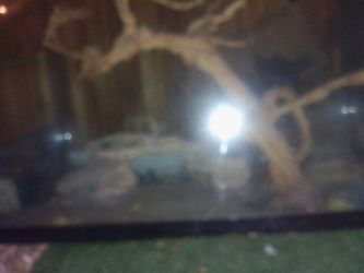 Excellent Condition Thick Glass Very Heavy Terrarium Aquarium