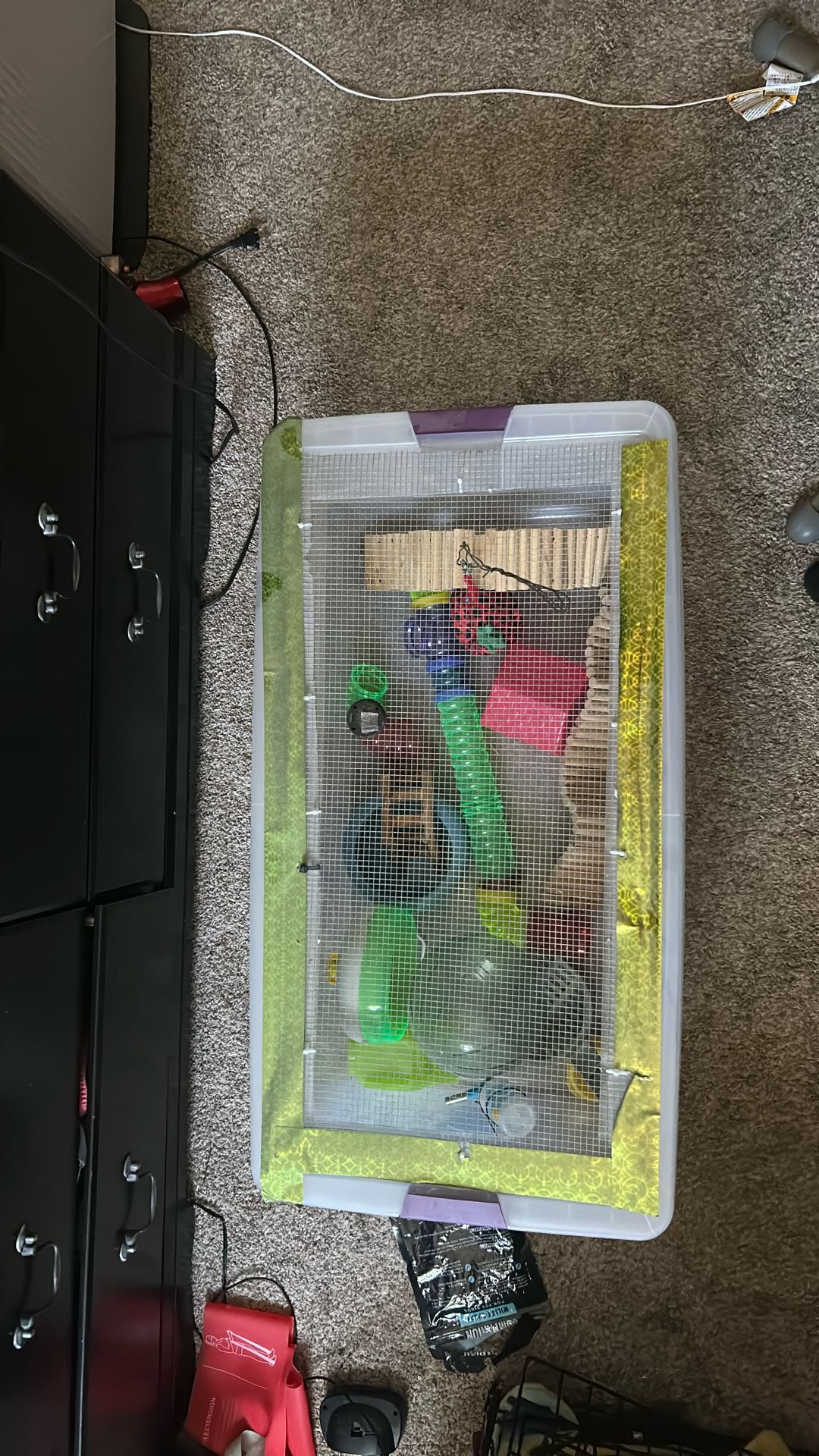 Hamster Enclosure