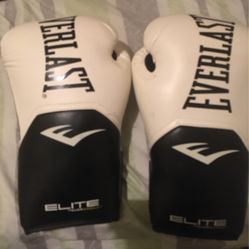 Everlast Gloves 