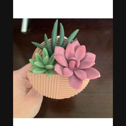 BATH AND BODY WORKS WALLFLOWER SUCCULENT PLUG IN  