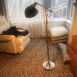 Floor Lamp Brushed Silver 
