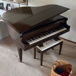 Wegman Baby Grand Piano