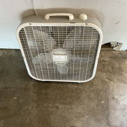 Fan