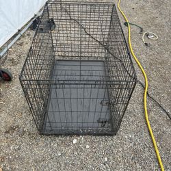 Dog Crate