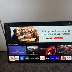LG Smart TV 65in 