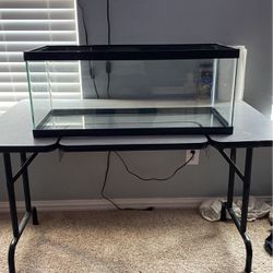 20 Gallons Fish /turtle Tank 