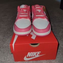 Nike Dunk New Never Worn Women's 