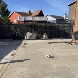 Retriever Dog Kennel