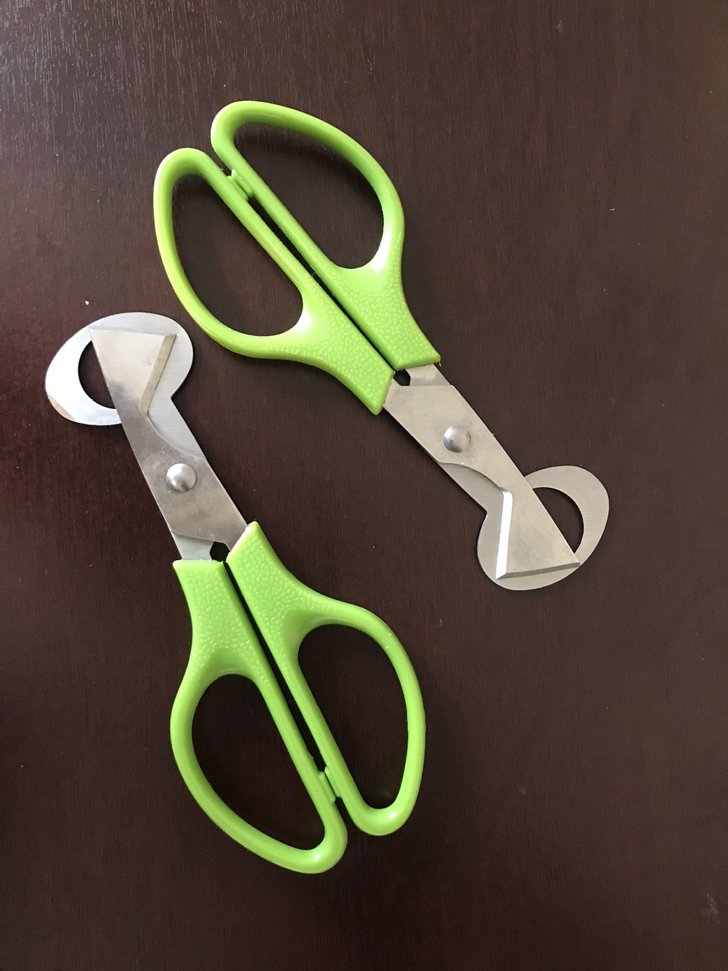Quaile Eggs Cutting Tool