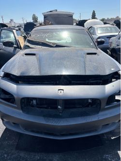 magnum hood